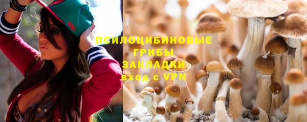стаф Богородск