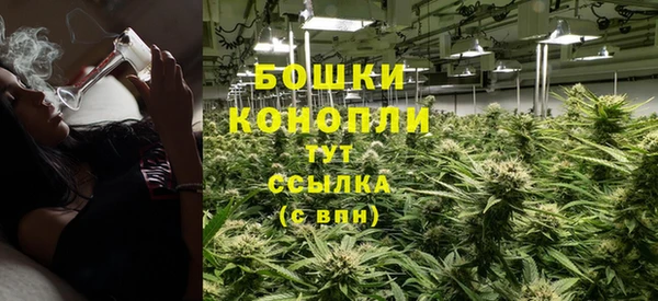 стаф Богородск