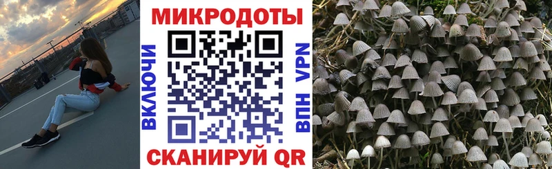 Псилоцибиновые грибы Magic Shrooms  Ветлуга 