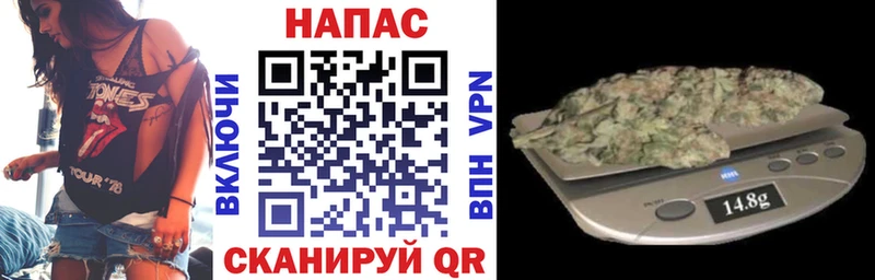Шишки марихуана сатива  купить наркотики цена  Ветлуга 